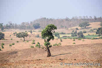 Guest post: How climate change is driving forest loss in India - Carbon Brief