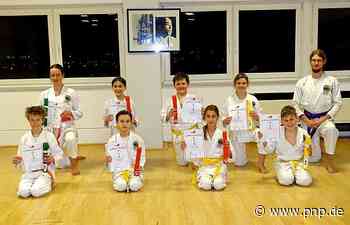 Farbige Gürtel für eifrige Karateschüler - Plattling - Passauer Neue Presse - PNP.de