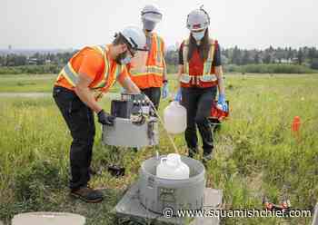 Canada needs a stronger COVID-19 detection system, experts say - Squamish Chief