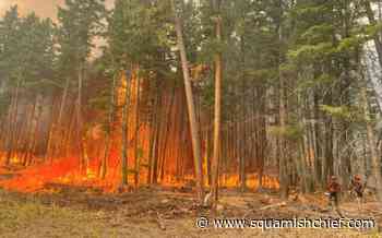 What is the government's plan for BC's 2022 wildfire season? - Squamish Chief