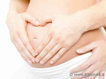 "Utero in affitto reato universale". C'è il primo sì alla legge