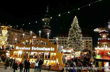 Striezelmarktbaum gesucht - Dresden - WochenKurier