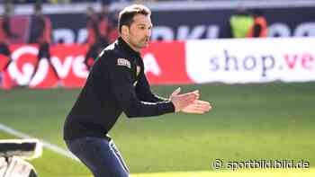 Dresden-Trainer ist zuversichtlich | „Dynamo ist auch nächste Saison Zweitligist!“ - SportBILD