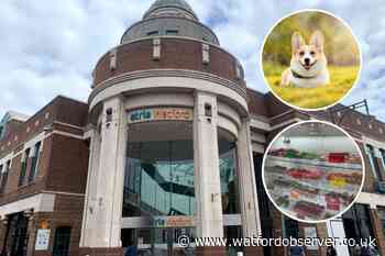 A bakery for DOGS has opened inside Atria Watford
