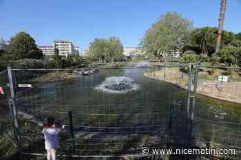 Au parc Exflora d'Antibes, le lâcher de carpes c’est pour bientôt!