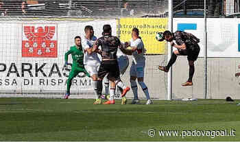 Südtirol, Poluzzi: “Su Pelagatti parata importante: a Trieste per vincere il campionato” - Padova Goal
