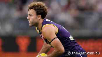 Fremantle Dockers name Griffin Logue, Darcy Tucker and Lachie Schultz to return to face Carlton - The West Australian