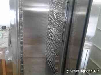 Chiude la nonna (ancora viva) nel freezer e la lascia morire