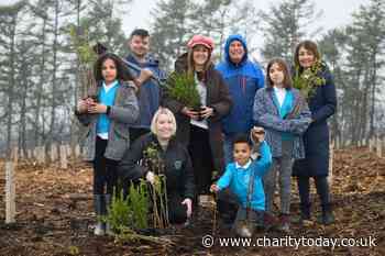 Ten acres of tree-planting at Manorial Wood in Sutton Coldfield - Charity Today News