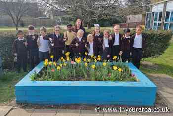 Southend's Temple Sutton Primary School build new garden for pupils - In Your Area