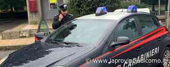 Erba, ruba le merendine al liceo Galilei I carabinieri lo fermano a Inverigo - Cronaca, Cantù - La Provincia di Como