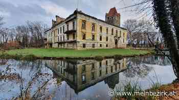 Veranstaltungs Vorschau ...: Schlossinselführung im Schlosspark Pottendorf am 24. April 2022 - Steinfeld - meinbezirk.at