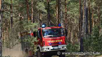 Wasserburger Wald in Brand gesetzt: Hat ein Junge (13) aus Landkreis Rosenheim das Feuer gelegt?