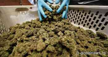 Government grants to help fund 2 Alberta hemp-processing facilities