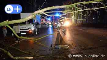 Glinde: Umgestürzter Baum blockiert Straße - Feuerwehr Glinde im Einsatz - Lübecker Nachrichten