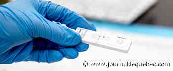 COVID-19: les tests rapides encore efficaces