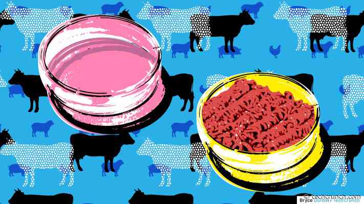 Unicorn Bio is building the hardware to scale cultivated meat from lab to table