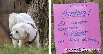 Bamberg: Giftköder-Warnung im Bamberger Hain - Stadt und Polizei äußern sich - inFranken.de