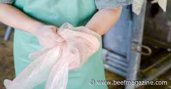 Heat detection and timing of artificial insemination