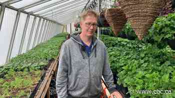 Delayed spring good for some Sask. businesses, bad for others