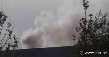 Brandweer rukt uit voor industriebrand: rook blijkt afkomstig van schouw - Het Laatste Nieuws