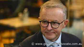 Albanese to start campaign from isolation - Gloucester Advocate