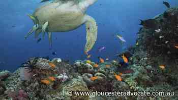 Reef water quality program funded in Qld - Gloucester Advocate