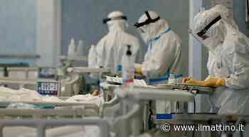 Donazioni degli organi, la classifica: dentro Pomigliano d'Arco e Boscoreale - ilmattino.it