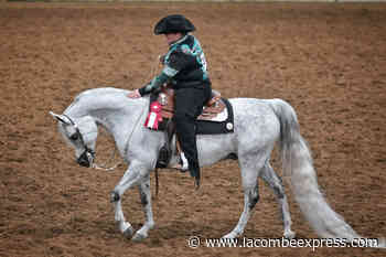 Ponoka hosts 150 horses for Spring Fling show - Lacombe Express