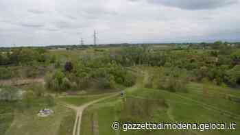 Modena. L'area della cava esaurita di via Scartazza è rinata grazie agli scout - La Gazzetta di Modena