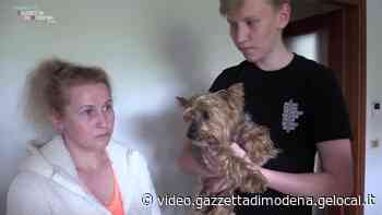 Modena alloggi per i profughi ucraini: Unicapi apre le porte delle sue case - Gazzetta di Modena