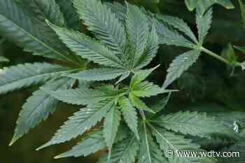 WV DHHR: Medical cannabis making strides - WDTV