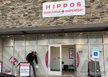 Driver slams into Springfield, Mo. medical marijuana store - KY3