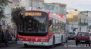 Giornata Ecologica” e Gara Podistica 'Stra Casamicciola Terme - Lacco Ameno' - Ischia News ed Eventi