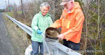 Springtime Go Clean, Get Green in Pictou - SaltWire CB powered by Cape Breton Post