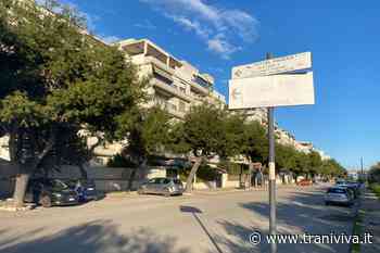 Assenza di manutenzione degli alberi in via Borsellino, disagi per i residenti - TraniViva