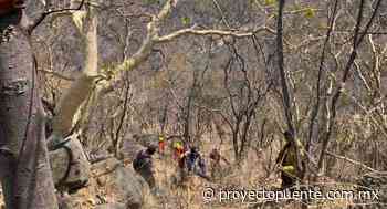 Apagan incendios forestales en Agua Prieta y Nogales; brigadistas siguen trabajando en Álamos y Opodepe - Proyecto Puente