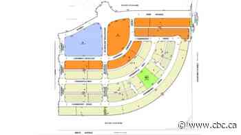 Coopertown bylaw tabled in Regina city council meeting