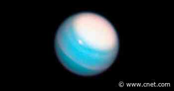 Scientists Want to Probe Uranus. You Read That Right     - CNET