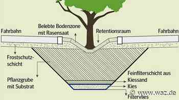 SPD Witten regt unterirdische Wasserspeicher für Bäume an - WAZ News