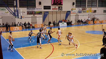 Cecina, ufficiale: Domenico Sorgentone è il nuovo allenatore - Tuttobasket.net