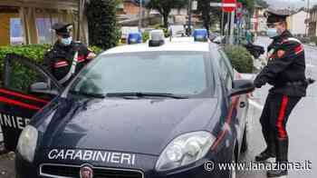 Violenza su due giovani e intimidazioni: individuata una baby gang a Prato - LA NAZIONE