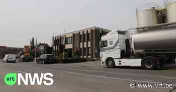 Zuivelfabriek Olympia in Herne overgenomen door Nederlandse groep - VRT NWS