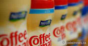 White powder sent to 2 Edmonton mosques being investigated by hate crimes unit