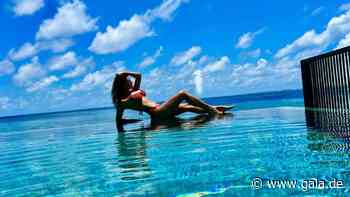 Dieter Bohlen: Für seine Carina wird er zum stolzen Mode-Fotografen - Gala.de