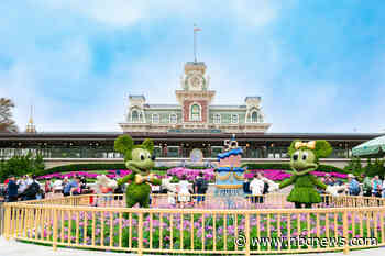Florida House passes bill to dissolve Disney’s special self-governing status