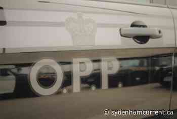 Lambton OPP: One person dies after a canoe overturns in Lake Huron - Sydenham Current