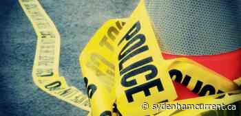 Update: Homicide determined to be a targeted shooting in Lambton County - Sydenham Current