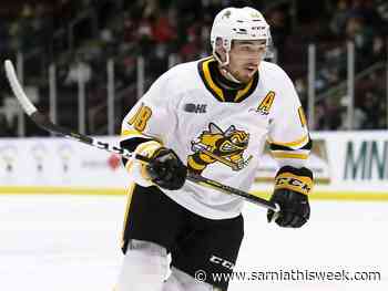 Sting captain Dillingham excited for playoff debut | Sarnia & Lambton County This Week - Sarnia and Lambton County This Week