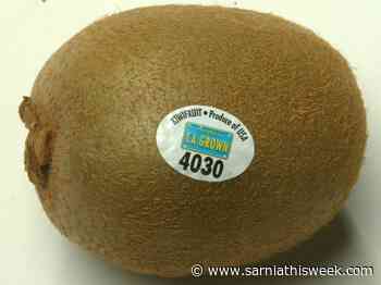 Produce stickers: can you eat them? | Sarnia & Lambton County This Week - Sarnia and Lambton County This Week